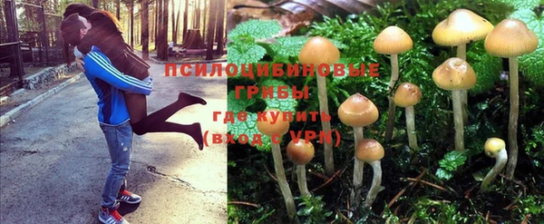 соль курить ск Абаза