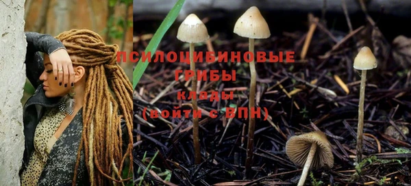 гидра Нижневартовск