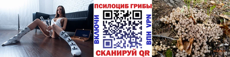 дарк нет формула  Великий Новгород  Галлюциногенные грибы GOLDEN TEACHER 