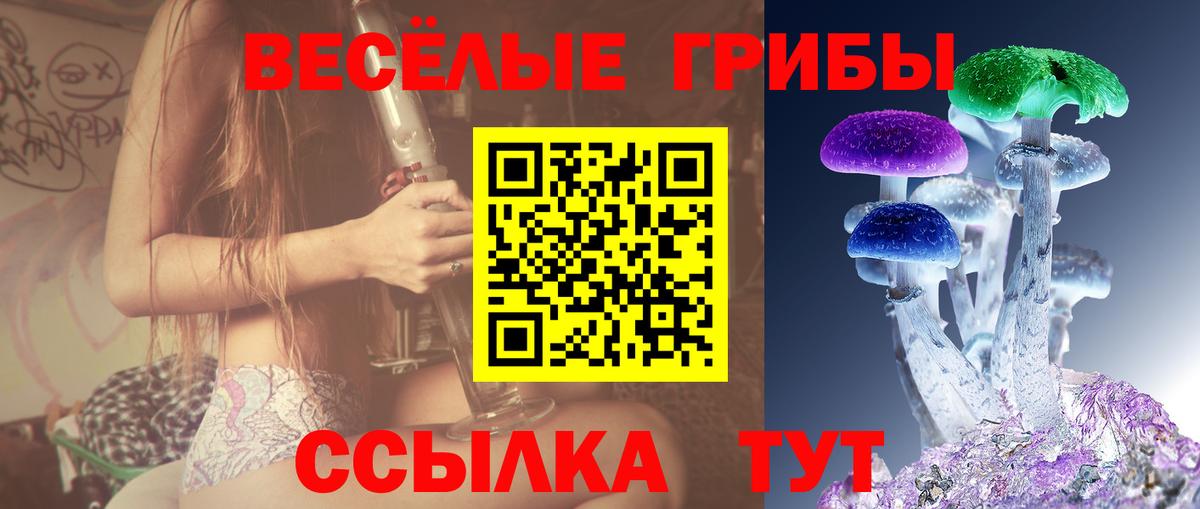 Галлюциногенные грибы MAGIC MUSHROOMS Великий Новгород
