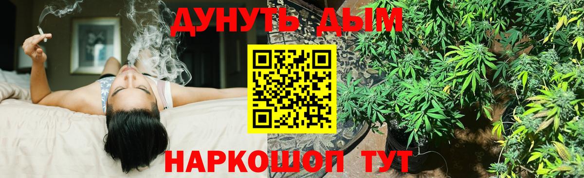 Канабис планчик  Каннабис конопля  Великий Новгород  Вход с VPN  МАРИХУАНА сатива  Конопля Ganja 